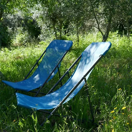 Casa Laranjeira * Vale de Carneiro