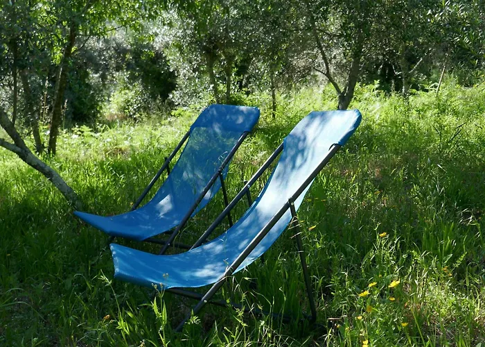 Casa Laranjeira * Vale de Carneiro